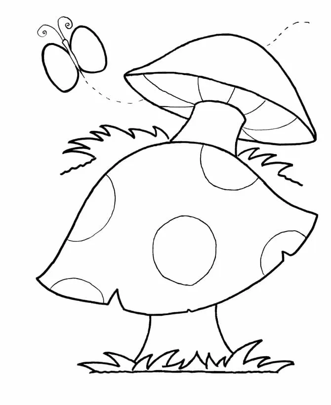 Champignon 18